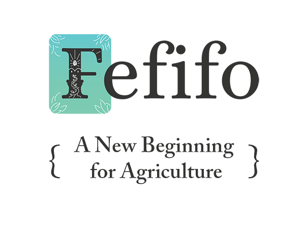 Fefifo Backoffice System